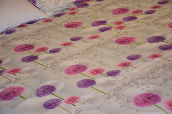 DSC_0444(FILEminimizer)