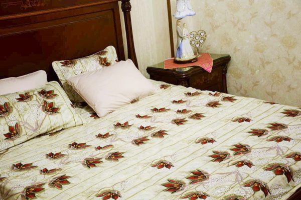 DSC_0460(FILEminimizer)