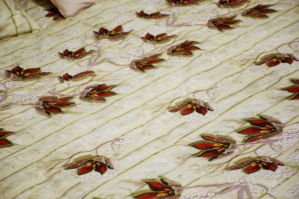 DSC_0462(FILEminimizer)